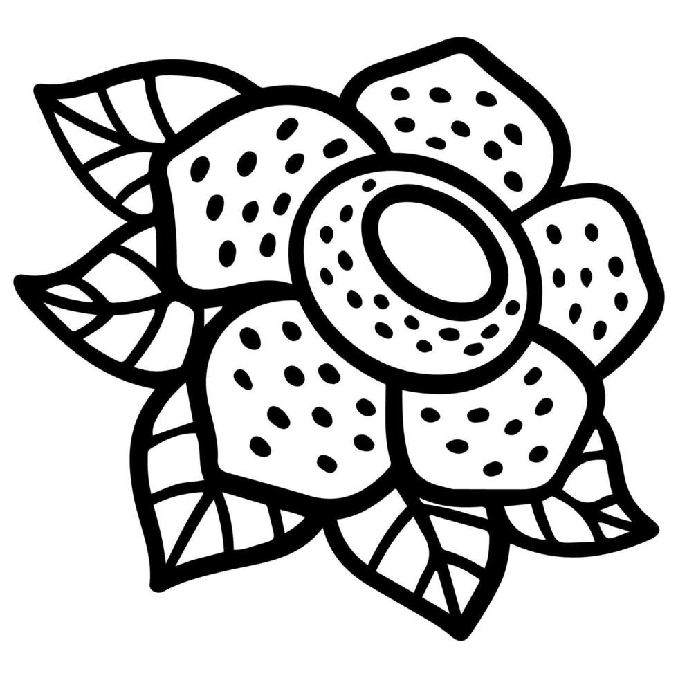 rafflesia flower outline icon vector