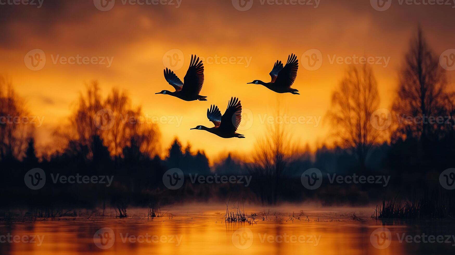 Three Ducks in Flight at Sunset Over a Serene Lake Landscape photo