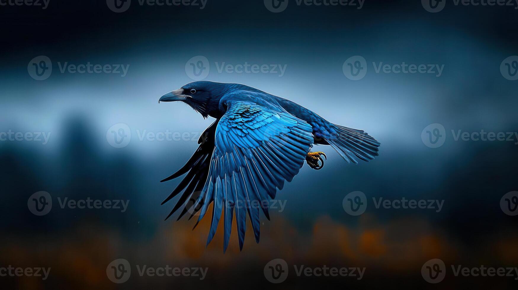 Majestic Blue Raven in Flight Dramatic Nature Photography Bird Wings Spread Wide photo