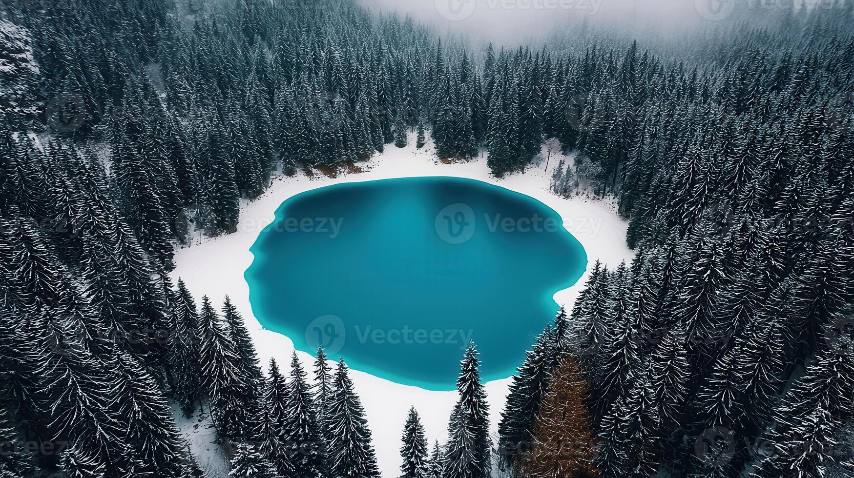 Aerial View of Turquoise Alpine Lake Surrounded by Snow Covered Coniferous Forest in Winter photo