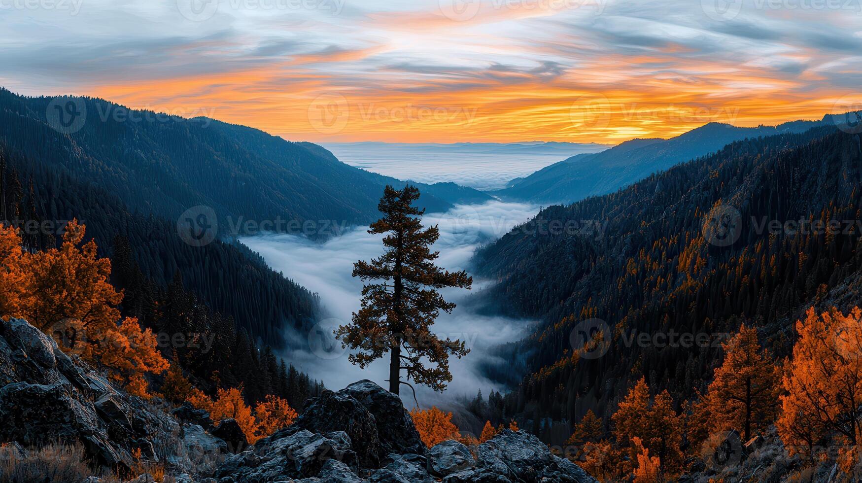 Majestic Mountain Valley Sunrise Autumnal Colors Fog and Lone Pine photo