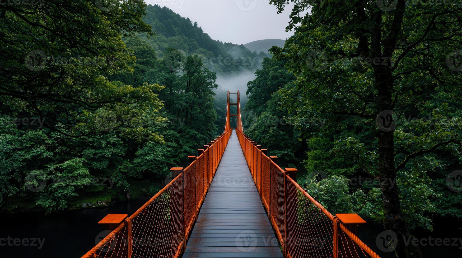Serene Suspension Bridge Pathway Through Lush Green Forest Landscape photo