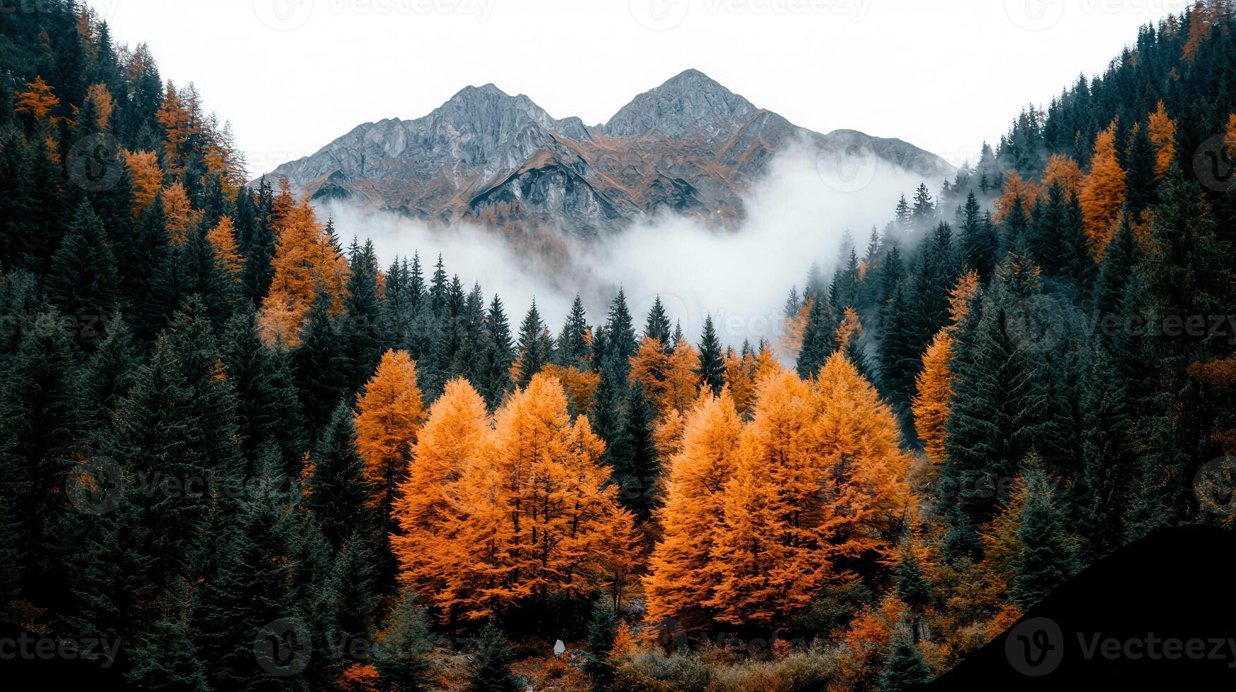 Majestic Mountain Scenery Autumnal Forest with Golden Larch Trees and Misty Peaks photo