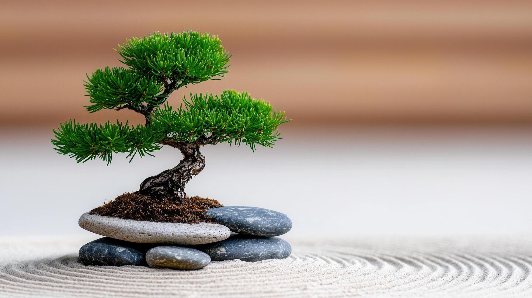 Serene Bonsai Tree in Zen Garden with Stacked Stones and Sand Pattern photo