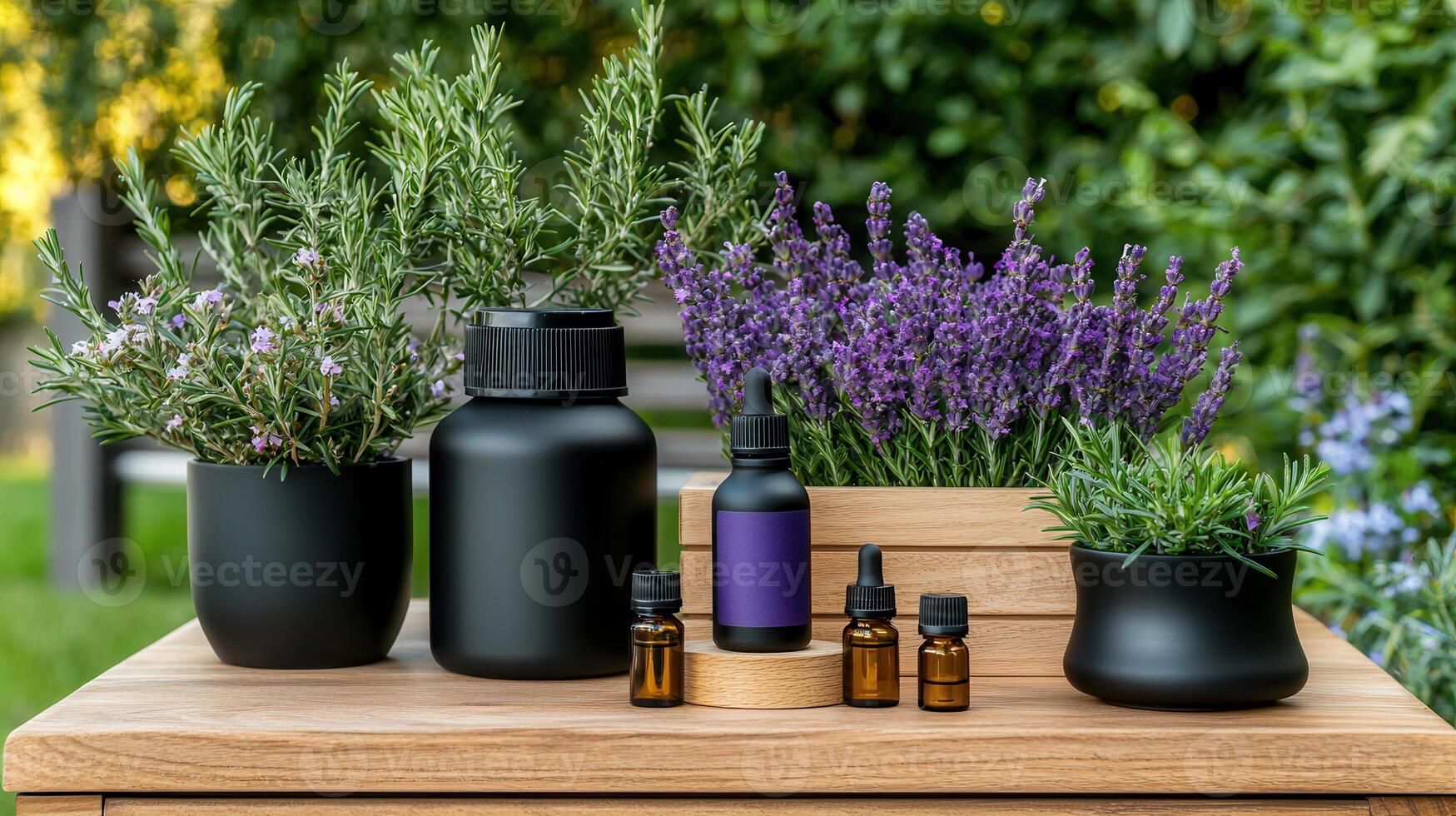 Aromatherapy Essential Oils Lavender Rosemary in Black Bottles Garden Setting photo