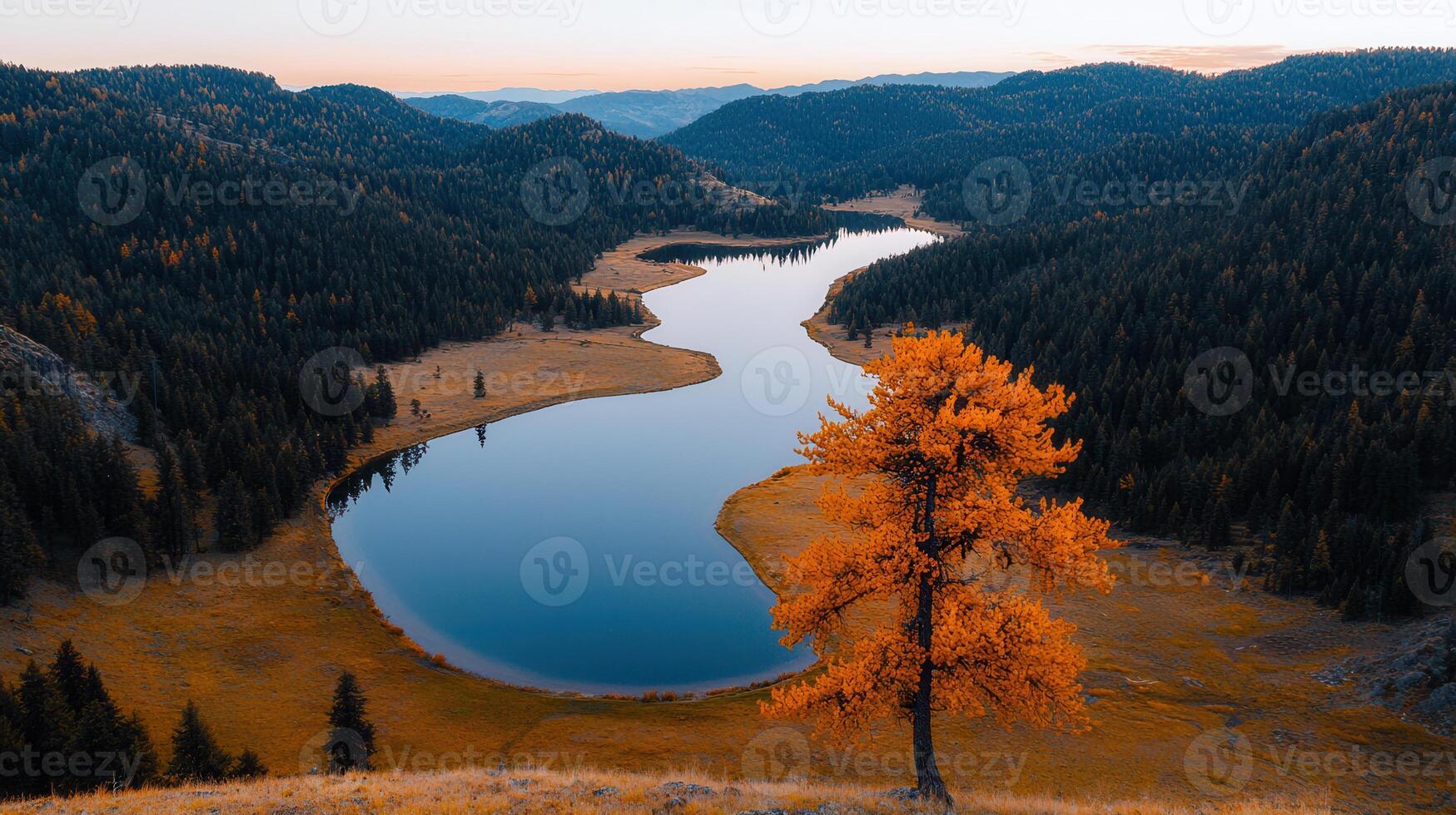Serene Autumn Landscape Winding River Golden Larch Tree and Mountain Forest photo