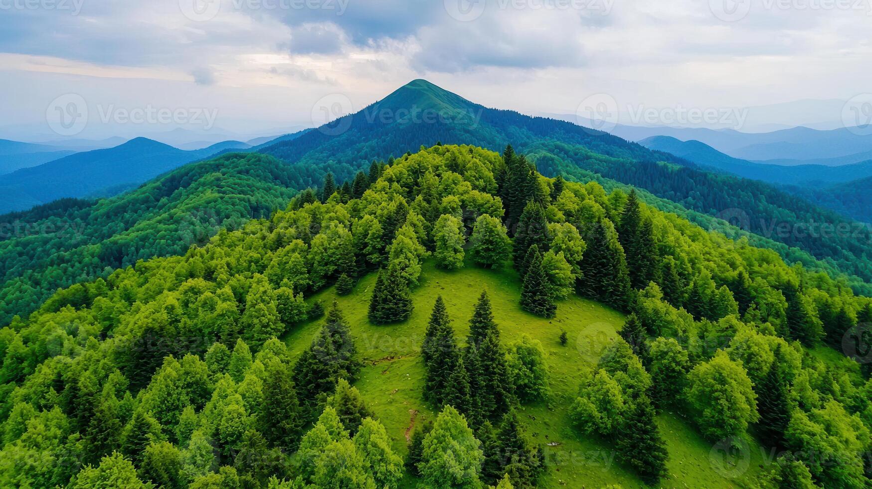Lush Green Mountaintop Forest Landscape with Rolling Hills and Distant Blue Mountains photo