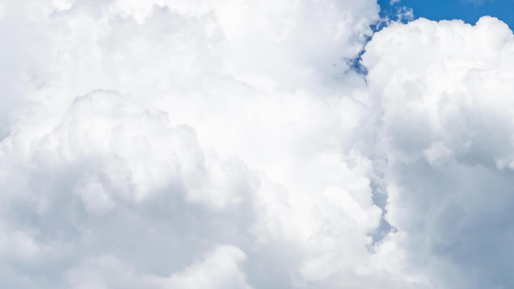 white cloud in the blue sky photo