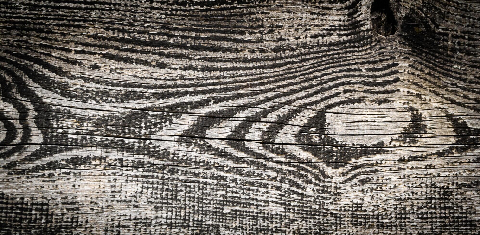 board with interesting patterns photo