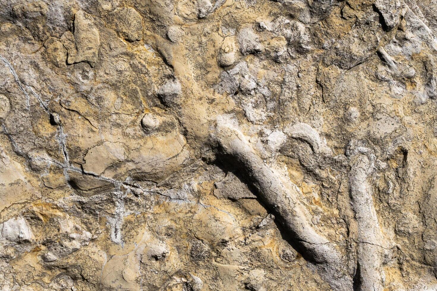 limestone texture usable photo