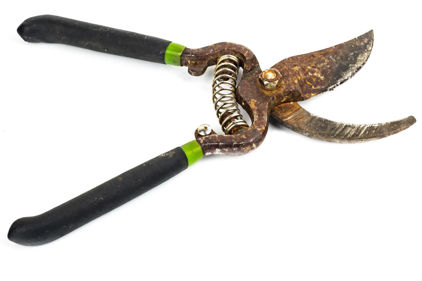 macro shot of secateurs on a white background photo