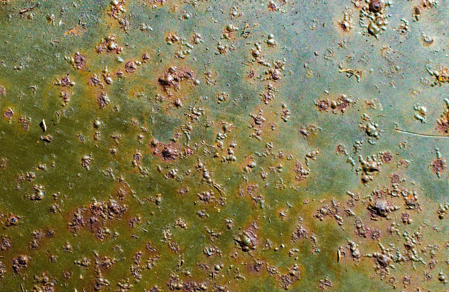 rusting old metal plate painted with green paint photo