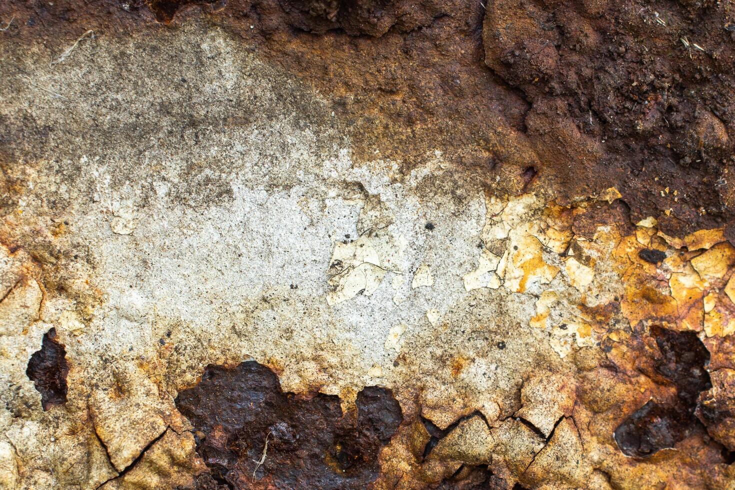 the old sheet metal was painted with white paint and covered with rust photo