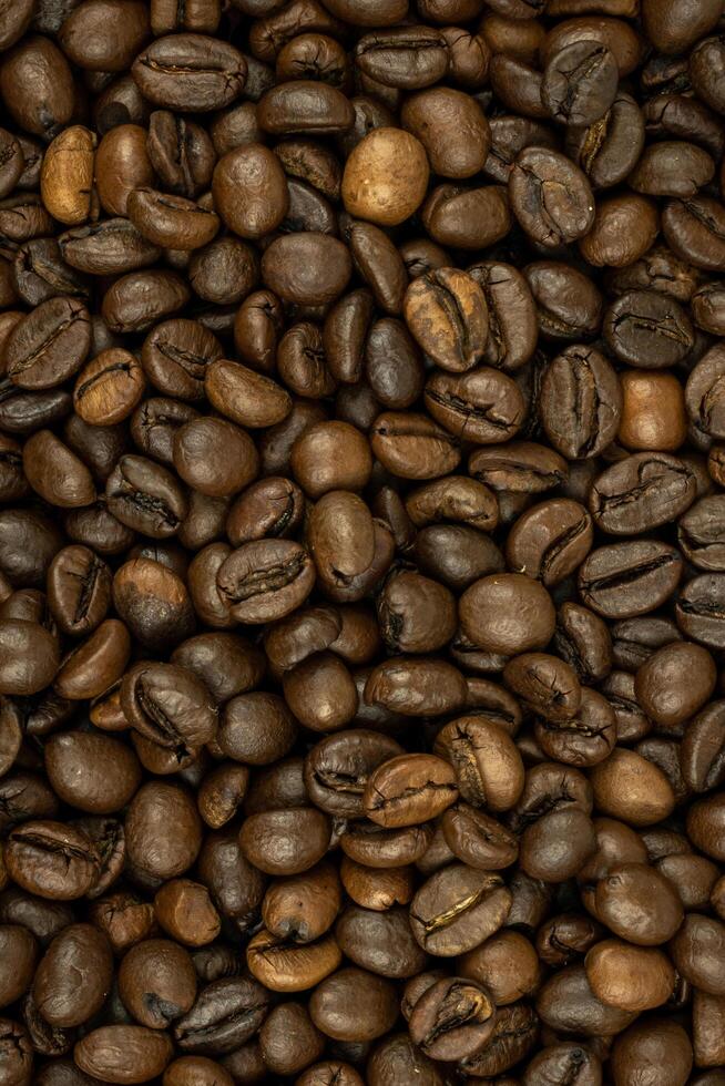 roasted coffee beans photo