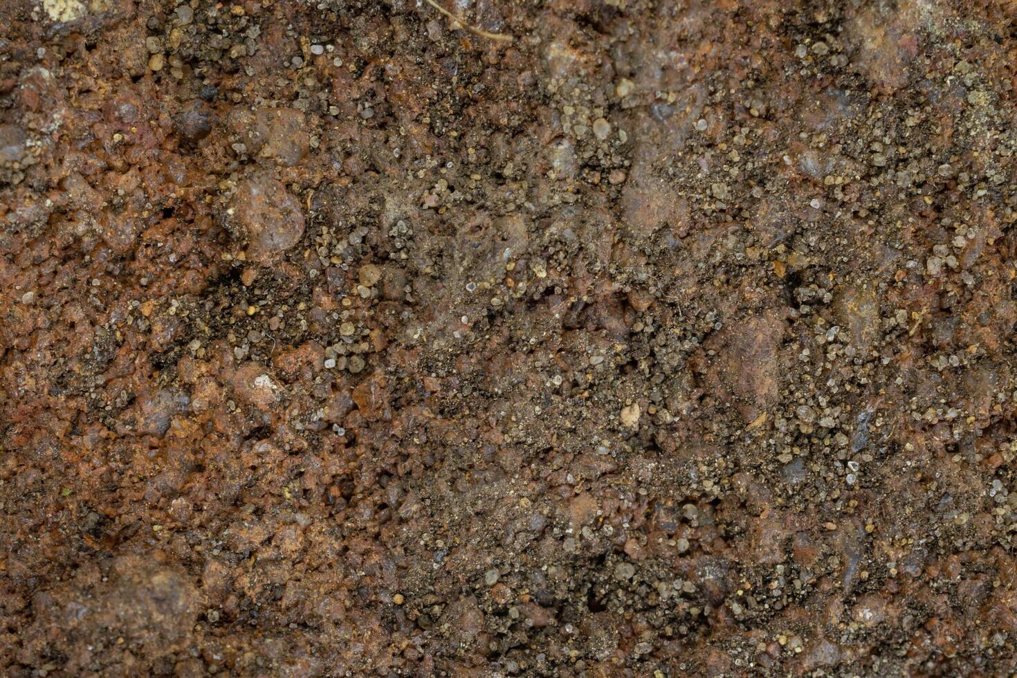 red sandstone cliffs macro photo .textura or background
