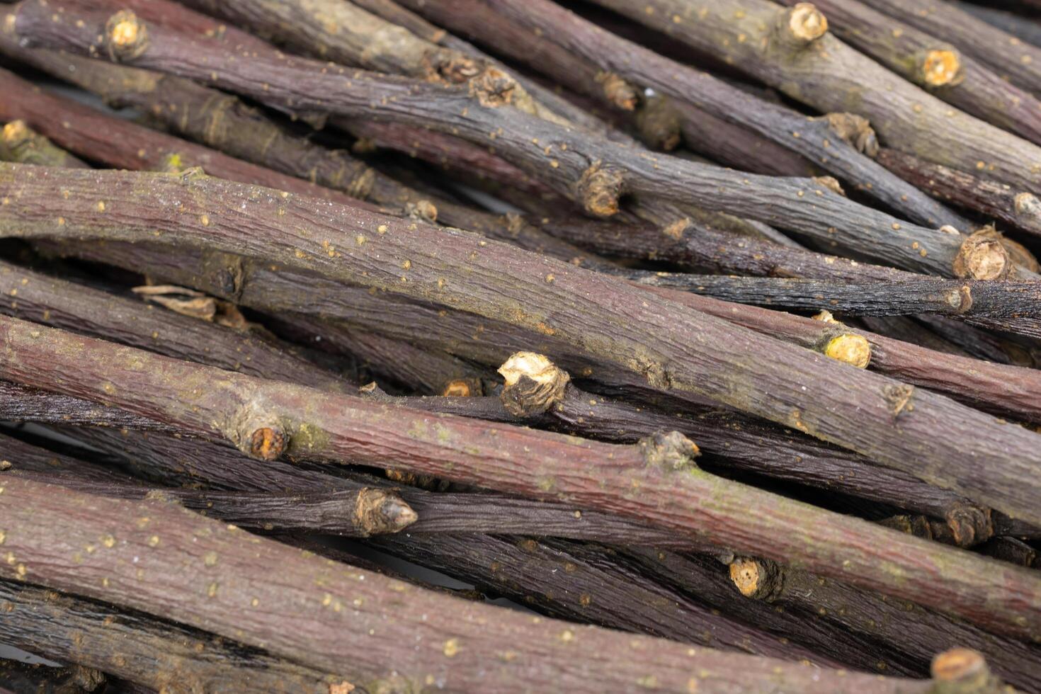 dried apple twigs with visible details. background or textura photo