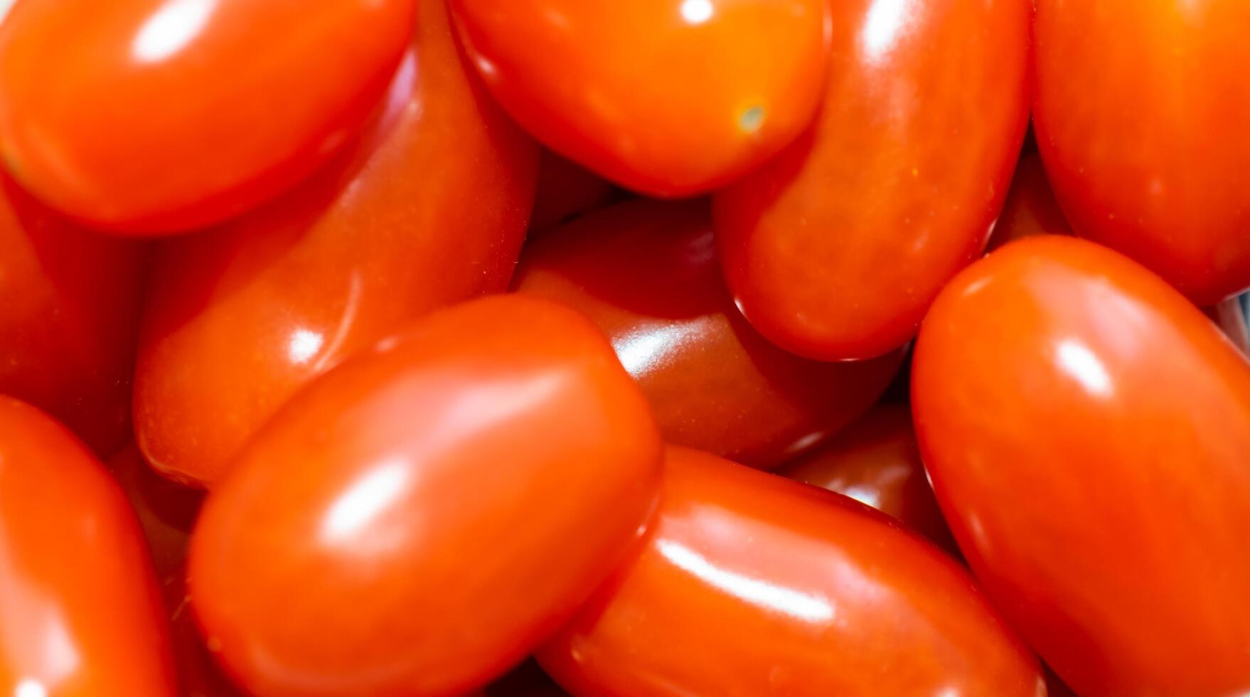 red tomatoes with visible details, texture or background photo