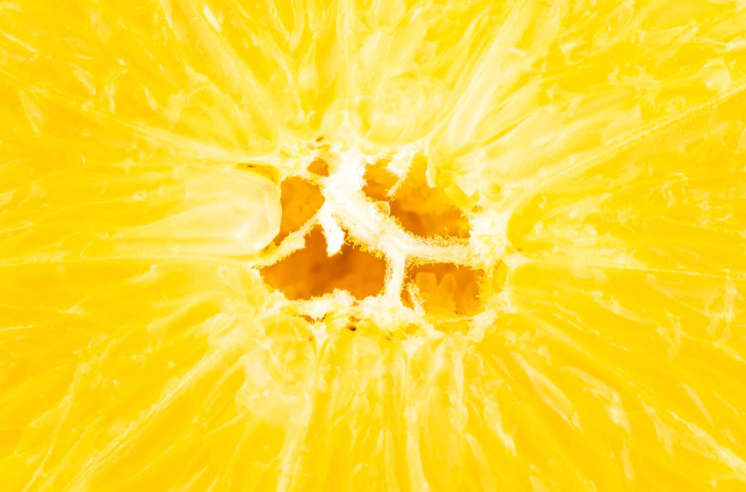 yellow lemon with visible details. photo
