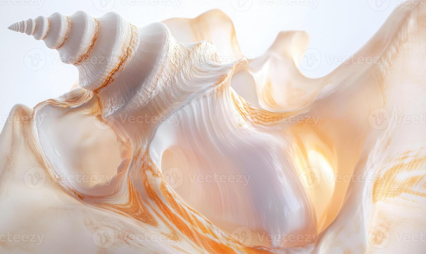 A shell with a spiral shape and a gold color photo