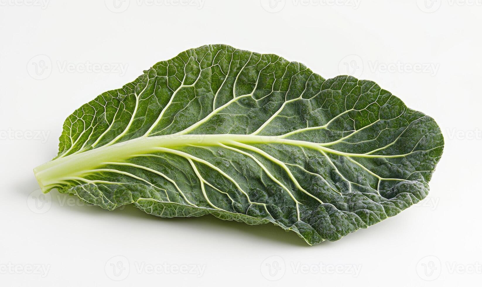A leaf of green spinach photo