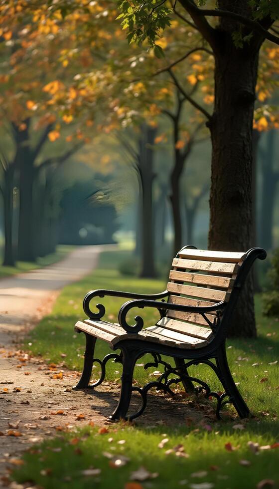 A bench sitting in the middle of a park photo