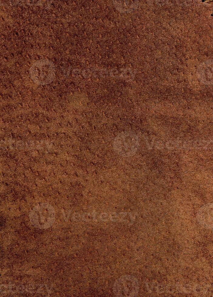 Chamois background close up photo
