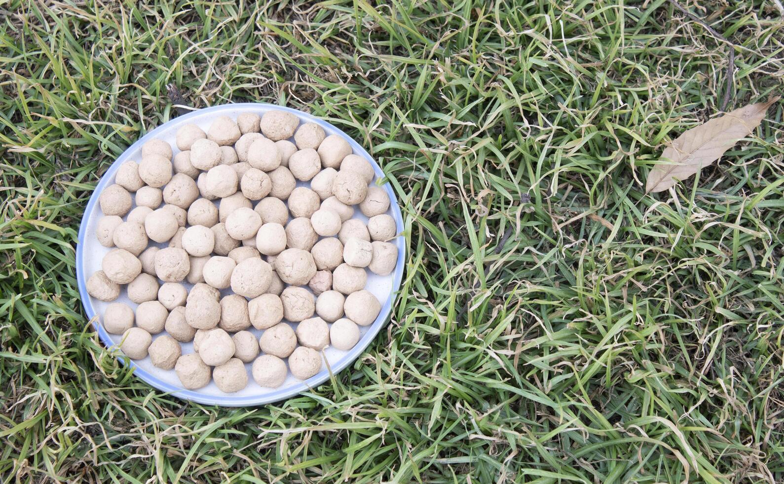 Edible caramel clay stones on a plate in the grass photo