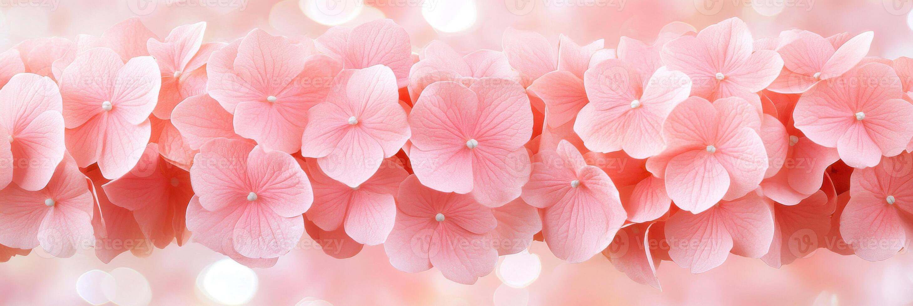 Beautiful arrangement of pink hydrangea flowers on a reflective surface during spring season photo