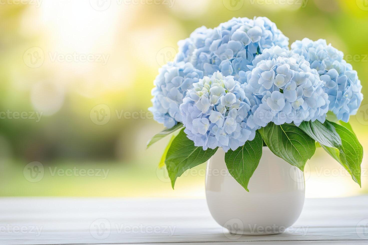 Pale blue hydrangeas in a white vase enhance a minimalistic wooden table under soft morning light photo