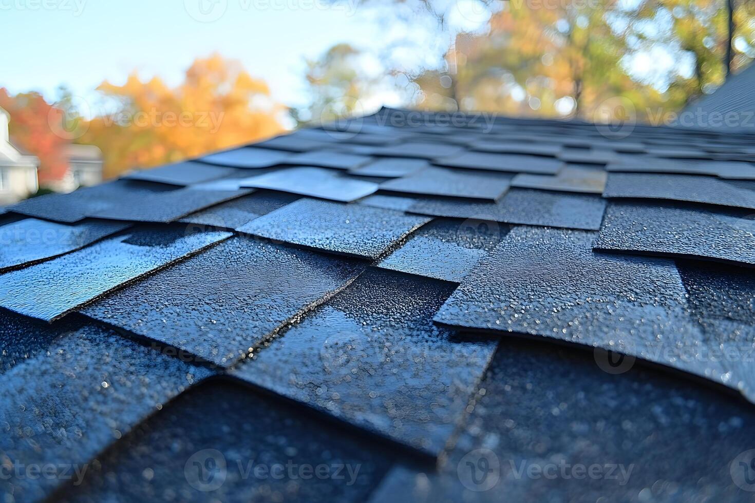 Autumn Dew on Black Shingles - Capturing Roof Texture and Season Change photo