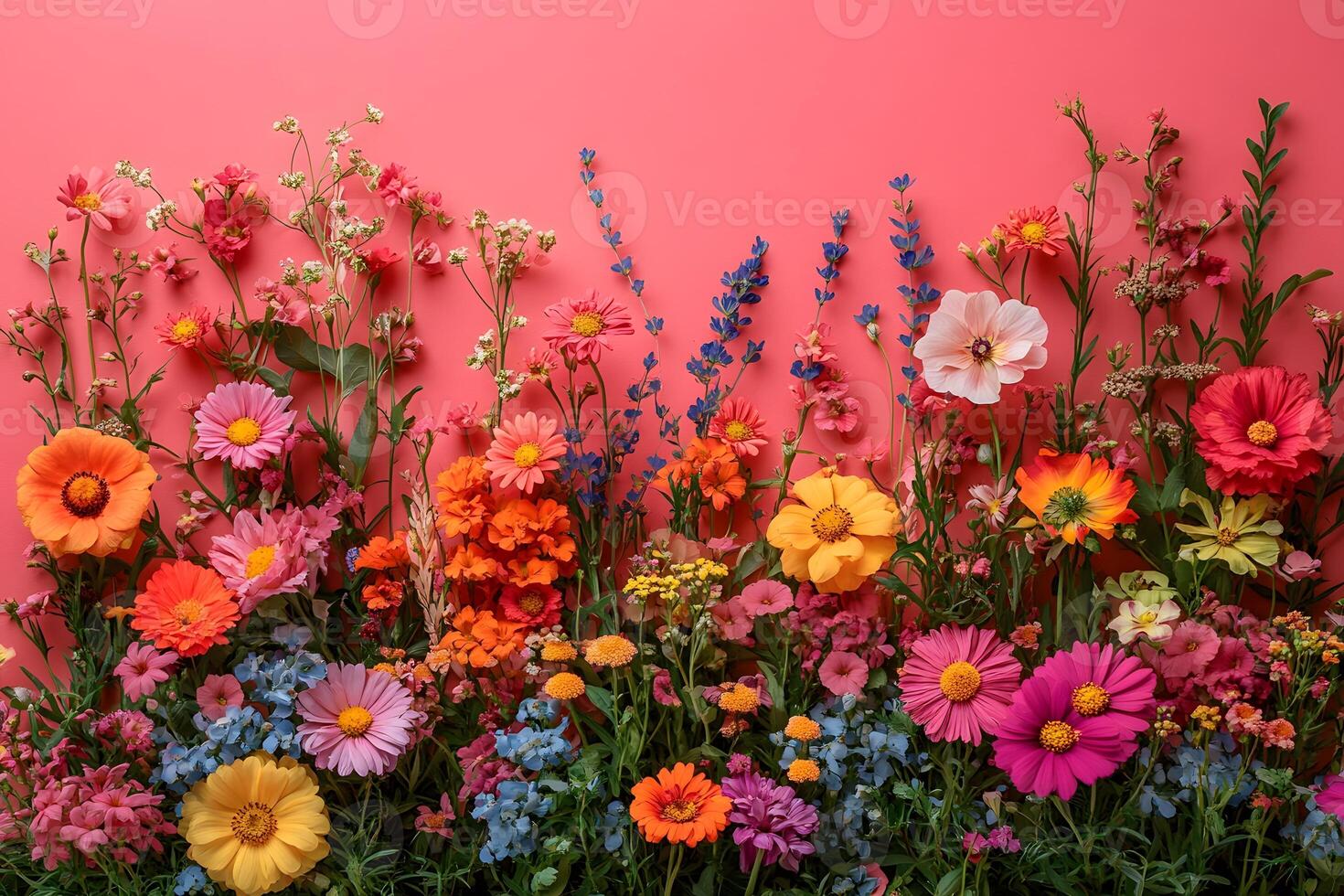 Vibrant Floral Arrangement on Pink Background for Spring Decor and Design photo