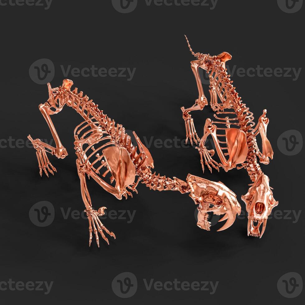Animal Bones Anatomy 3D Art photo