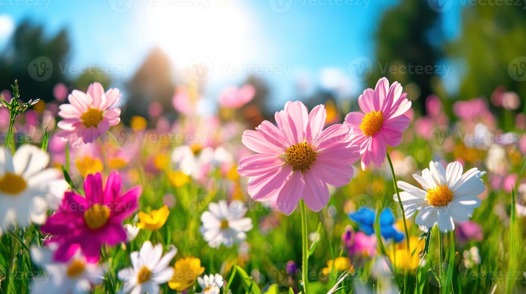vistoso flores silvestres floración en un borroso campo debajo el amable luz de sol durante un sereno tarde foto