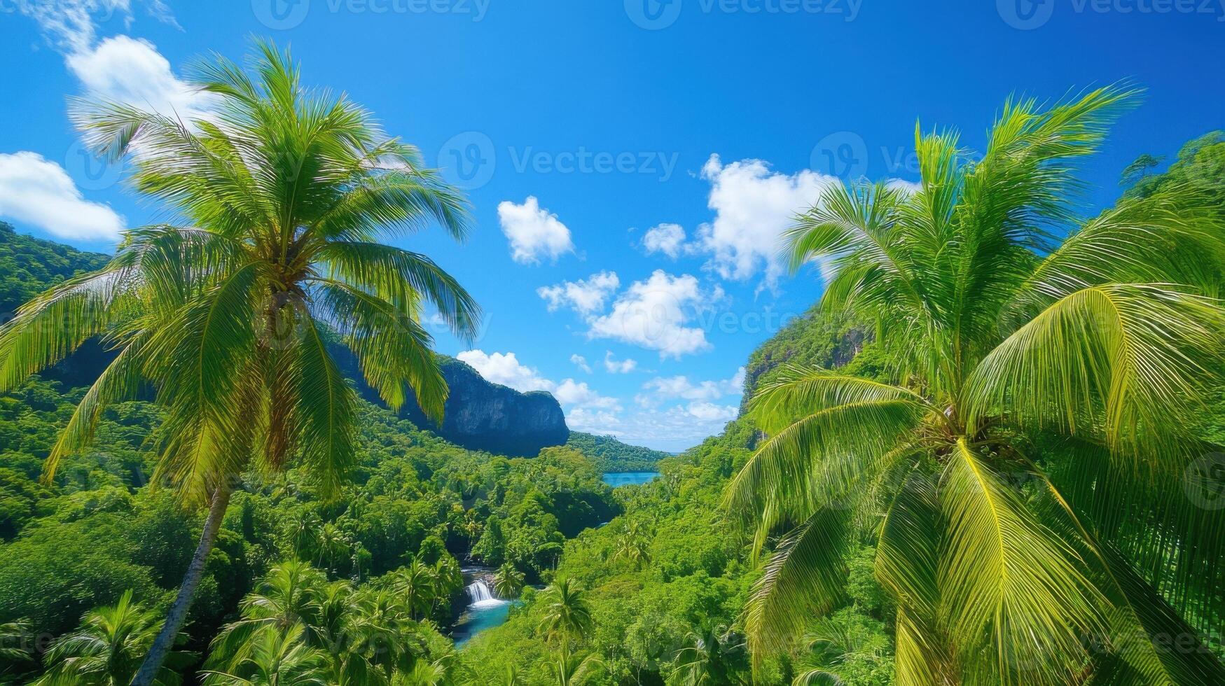 Serene rainforest with misty trees and vibrant blue sky over lush tropical landscape photo
