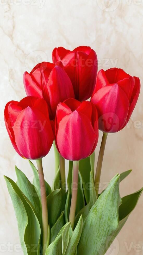 Bright red tulips arranged beautifully on a soft background showcasing their vibrant colors and delicate petals photo