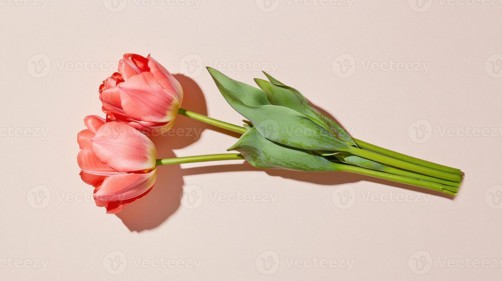 Elegant pink tulips arranged parallel on a soft neutral backdrop showcasing delicate petals and lush green leaves photo