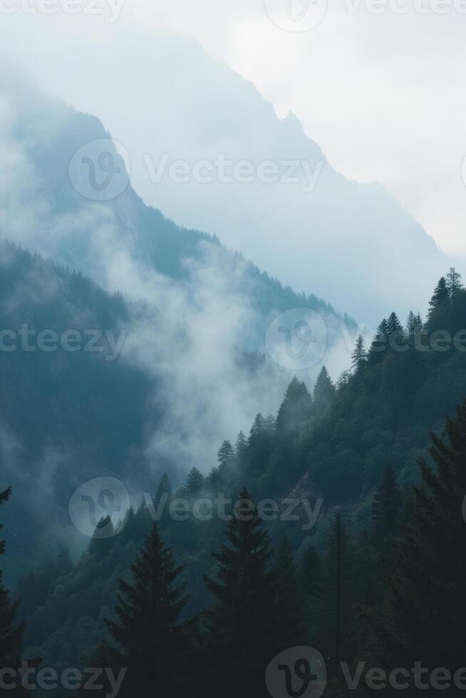 Mountain landscape with dense forest and fog, creating a misty atmosphere, with the peaks fading into the distance - scene 01 photo