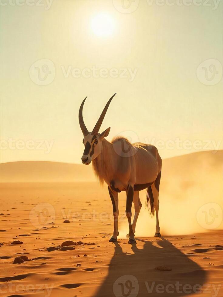 A lone addax standing on a vast, flat, sandy desert plain at midday, under a scorching sun photo