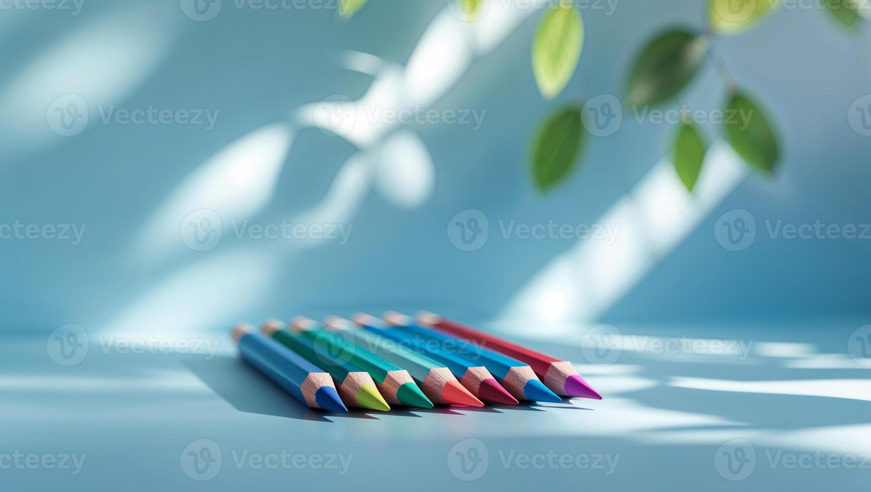 Colorful pencils arranged in a row with soft shadows and green leaves in a bright indoor setting photo