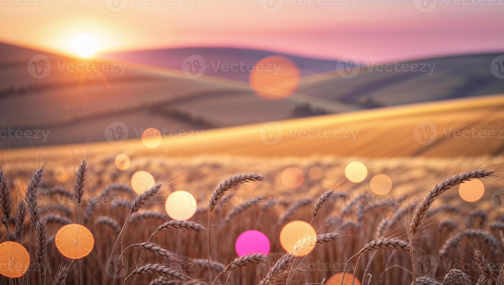 Golden wheat field at sunset with vibrant colors in the background photo