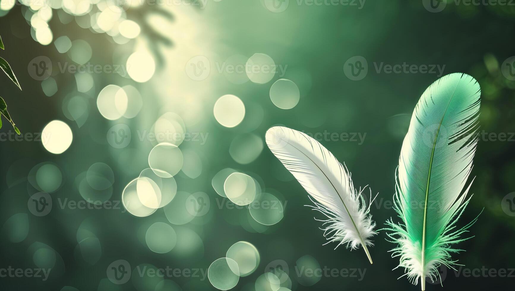 Colorful feathers gently float against a blurred green background with soft light during a calm afternoon photo