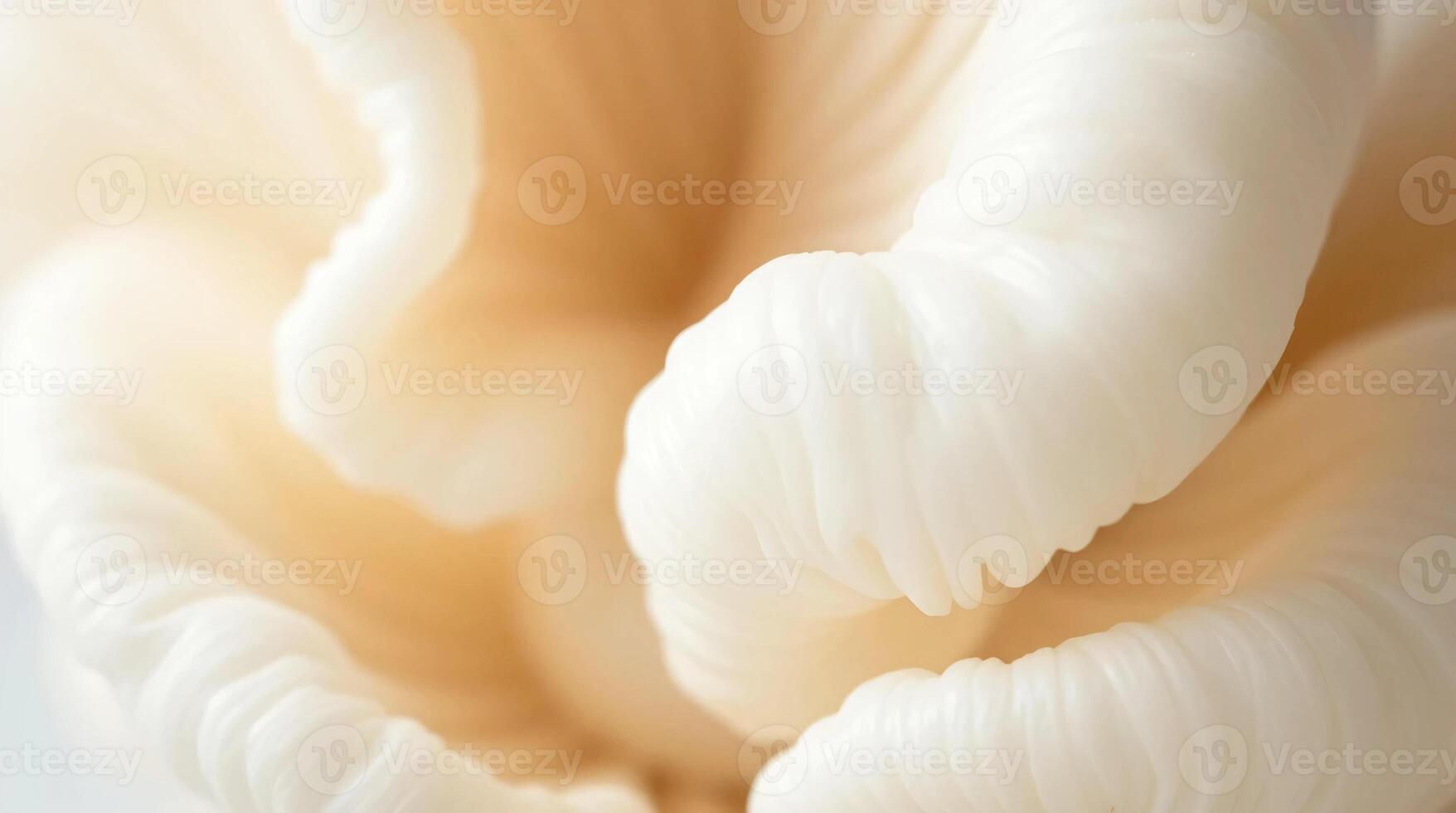 A close up of a white mushroom photo