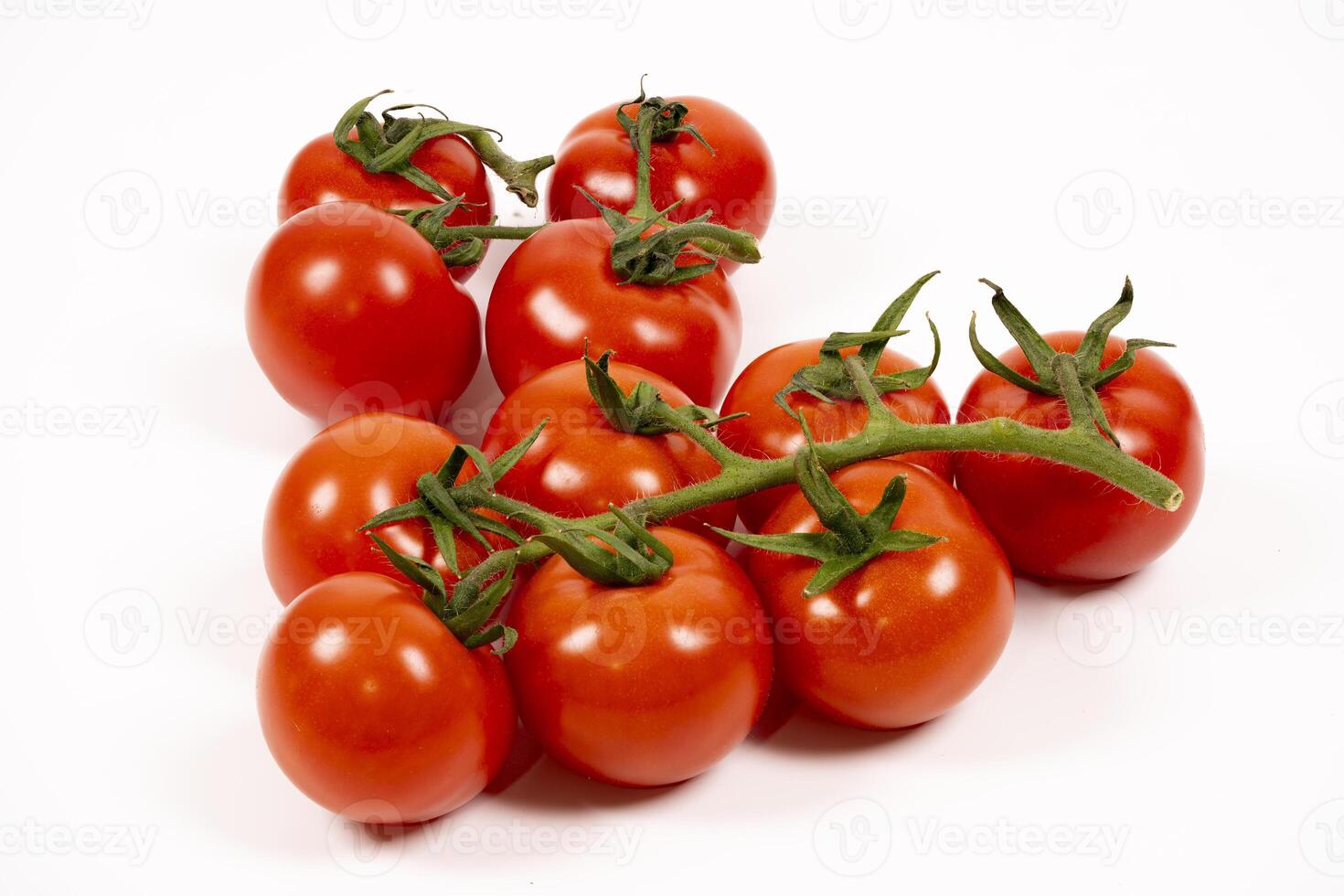 Freshly harvested red tomatoes arranged on a white background photo
