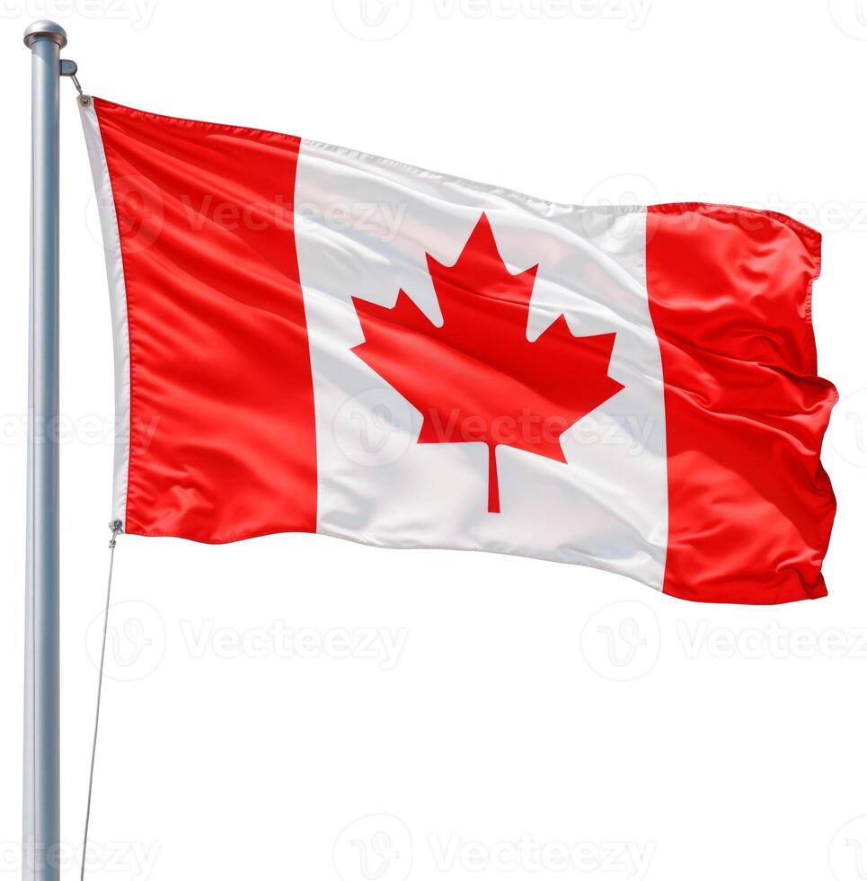 Flag of Canada waving on a flagpole isolated on white background photo