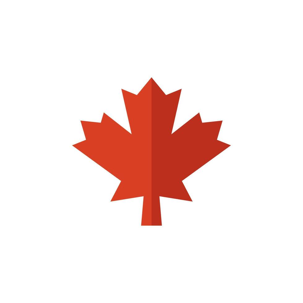 Maple leaf icon on a white background. vector