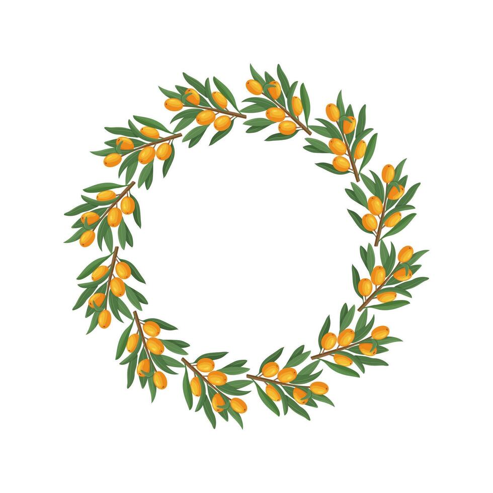 Circular frame with sea buckthorn berries, food or cosmetics label, sticker template for packaging, isolated on white background. vector