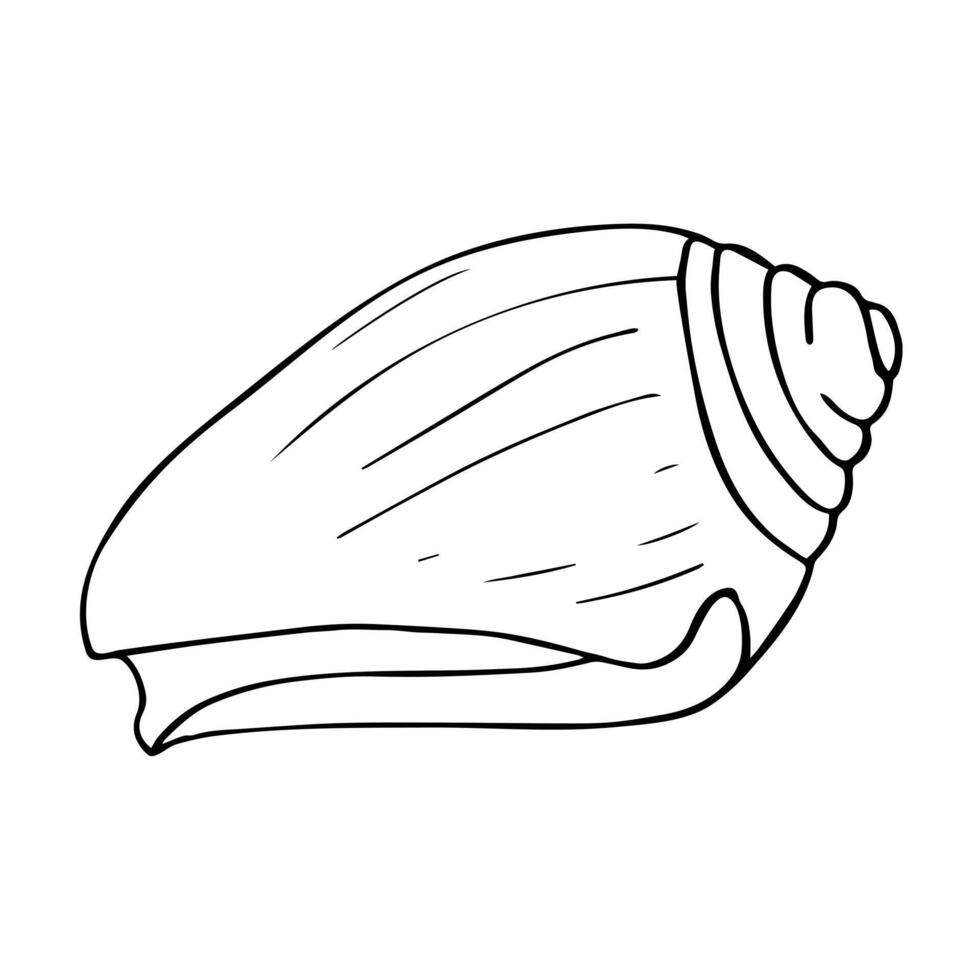 Hand drawn shellfish for marine and nautical themed designyster. Hand drawn marine illustration in black outline isolated on white. vector