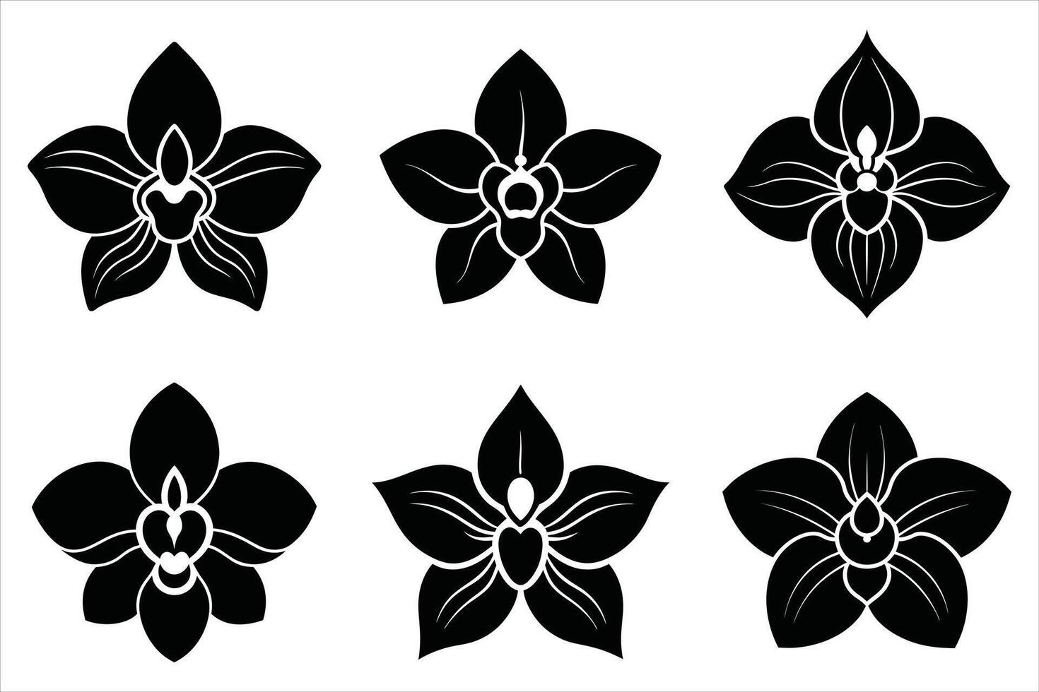Six Black and White Orchid Flower Icons vector