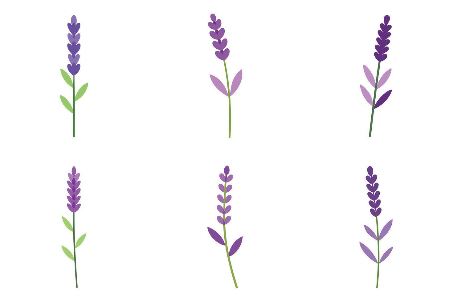 Six Flat Lavender Sprig Icons on White Background vector