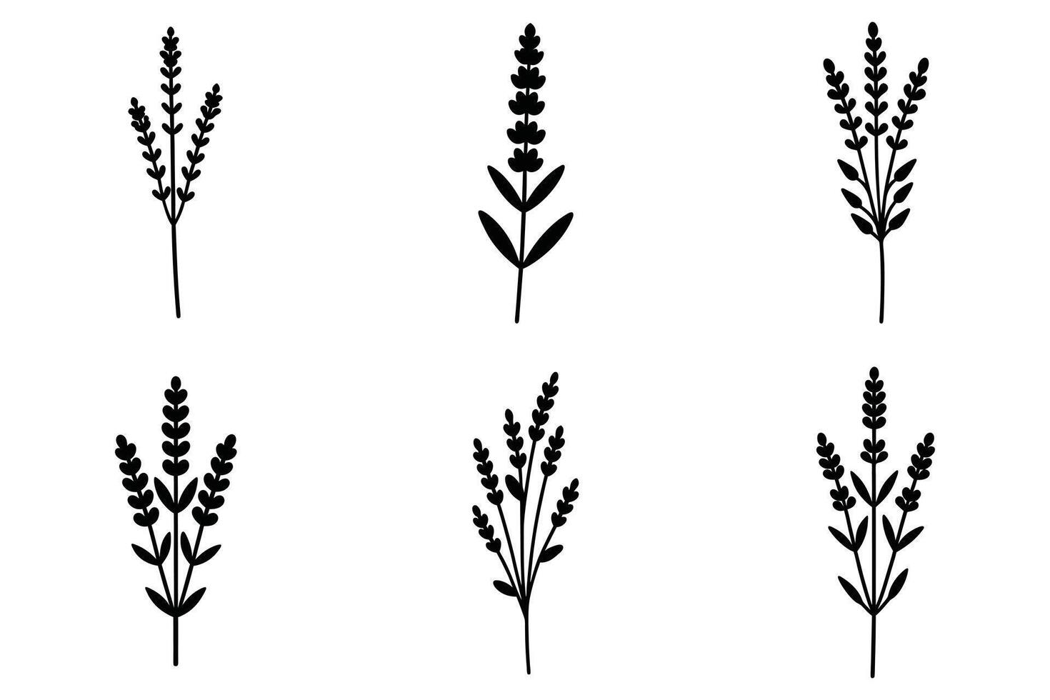 Set of Six Simple Lavender Silhouettes vector